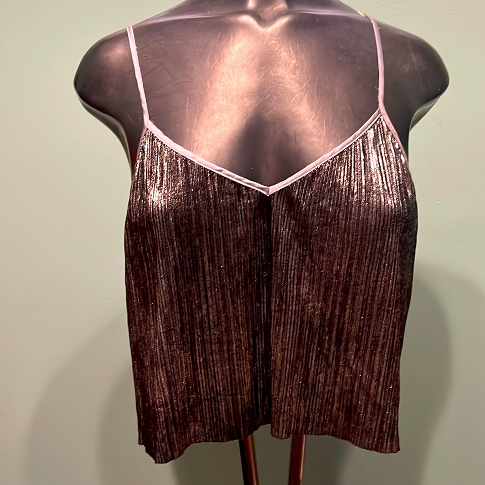 Victoria’s Secret Silver Crop Top